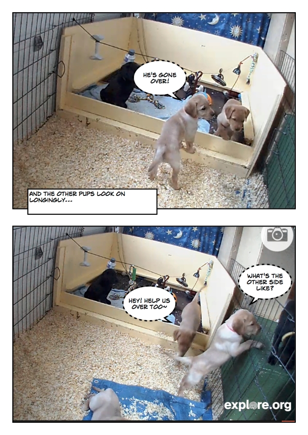 Puppyescape_page5